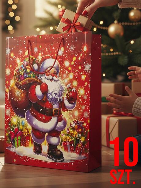 Torba prezentowa 10-pak w3