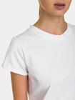 T-shirt  BASIC