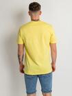 T-shirt BASIC